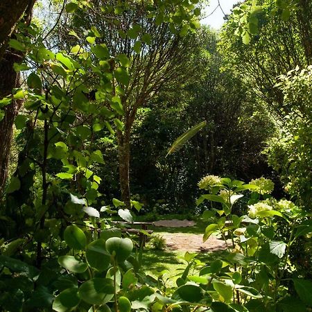 Blythcliffe Bed and Breakfast Akaroa Buitenkant foto