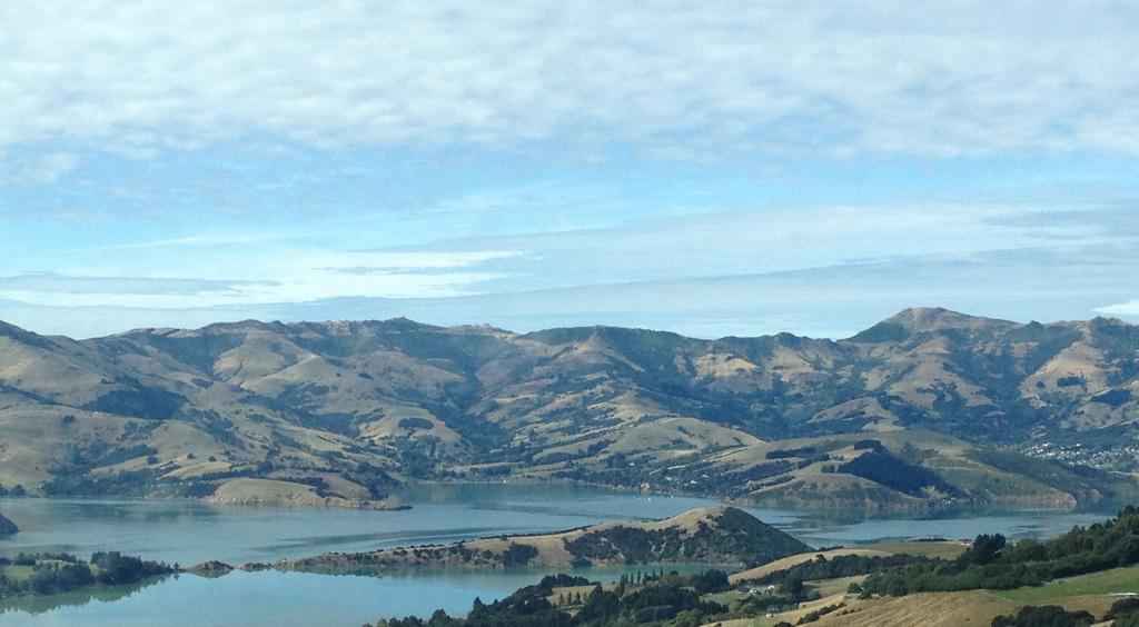 Blythcliffe Bed and Breakfast Akaroa Buitenkant foto