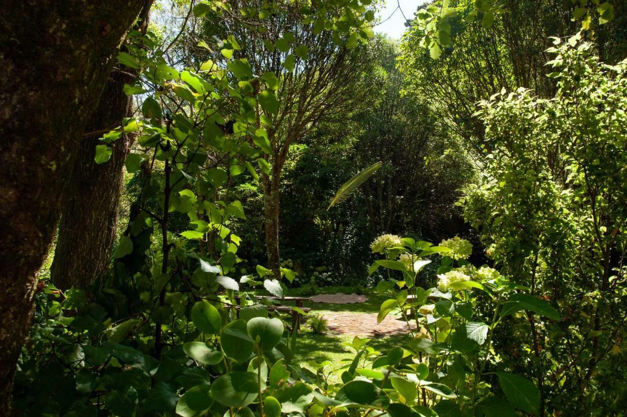 Blythcliffe Bed and Breakfast Akaroa Buitenkant foto