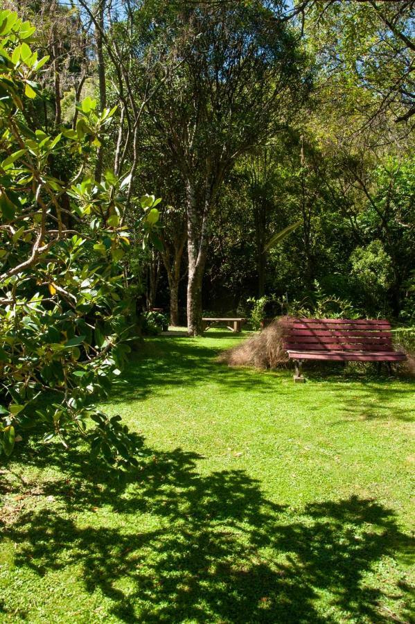 Blythcliffe Bed and Breakfast Akaroa Buitenkant foto